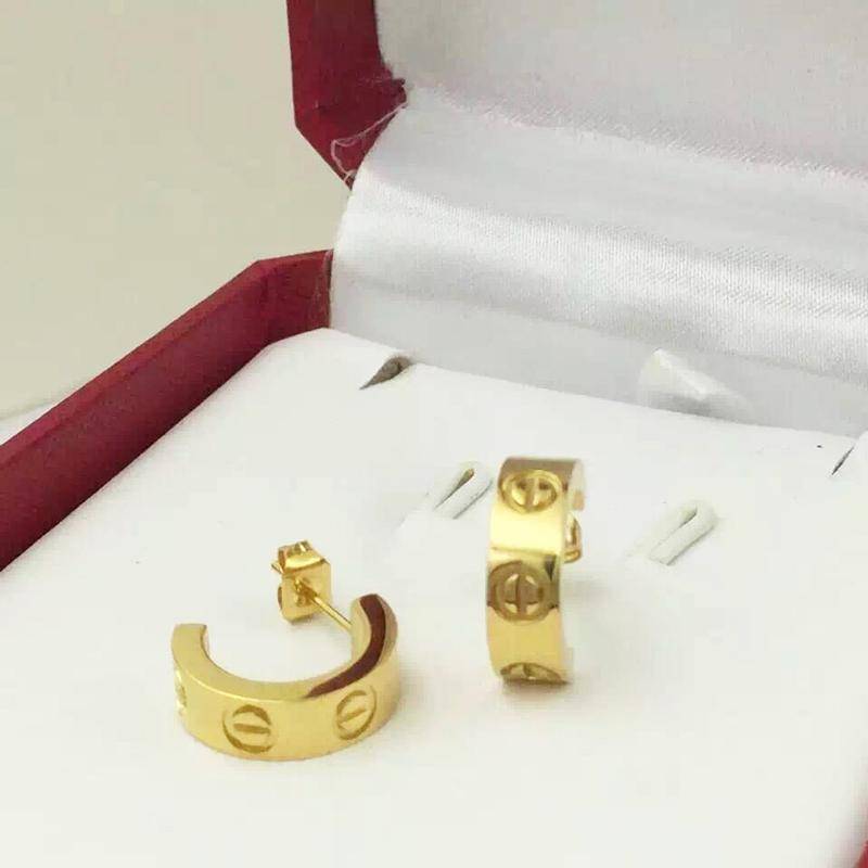 Earrings No Stone Gold Minimalist Earrings studs - Titanium Steel