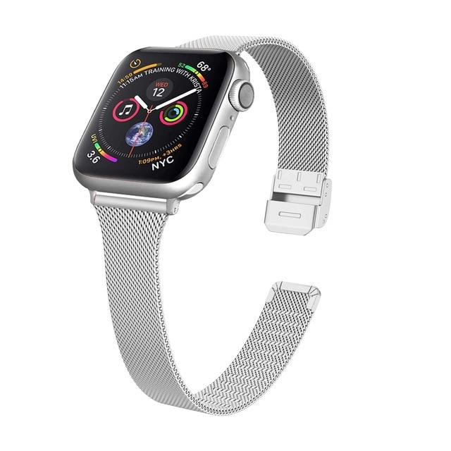 APPLE WATCH SERIES 4 Stainless Steel with Milanese Loop Band